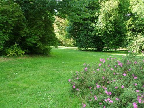 Mozart Guest House Seattle Bed And Breakfast المظهر الخارجي الصورة